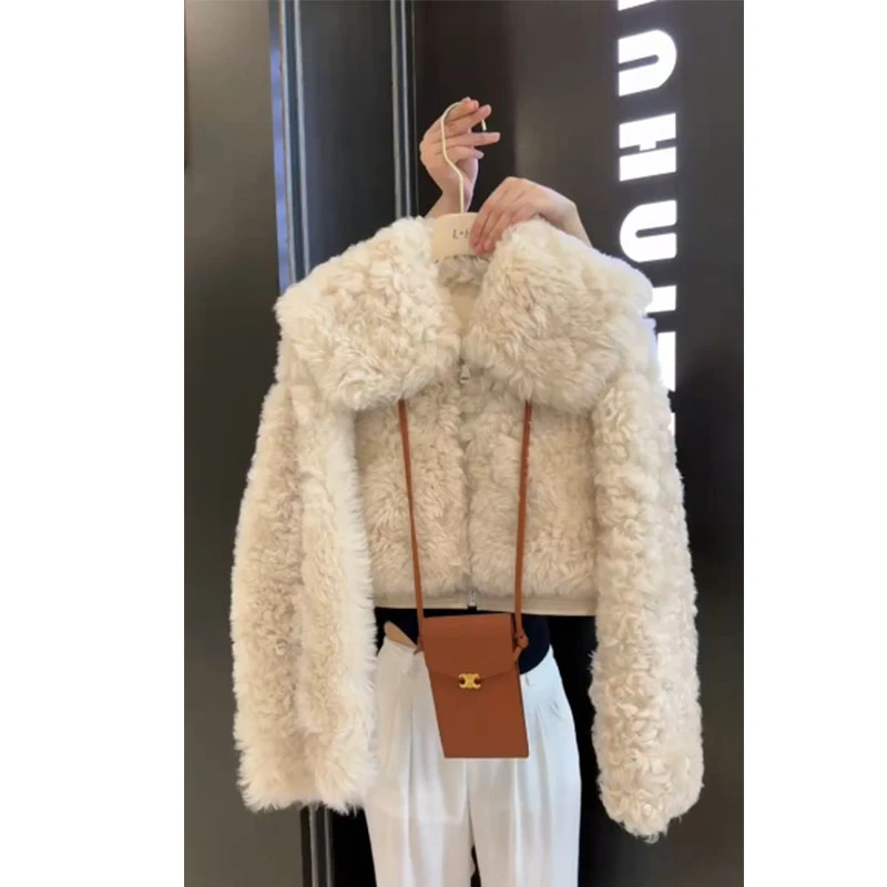 2025秋冬韩系气质小个子短款翻领毛茸茸外套宽松百搭纯色长袖上衣