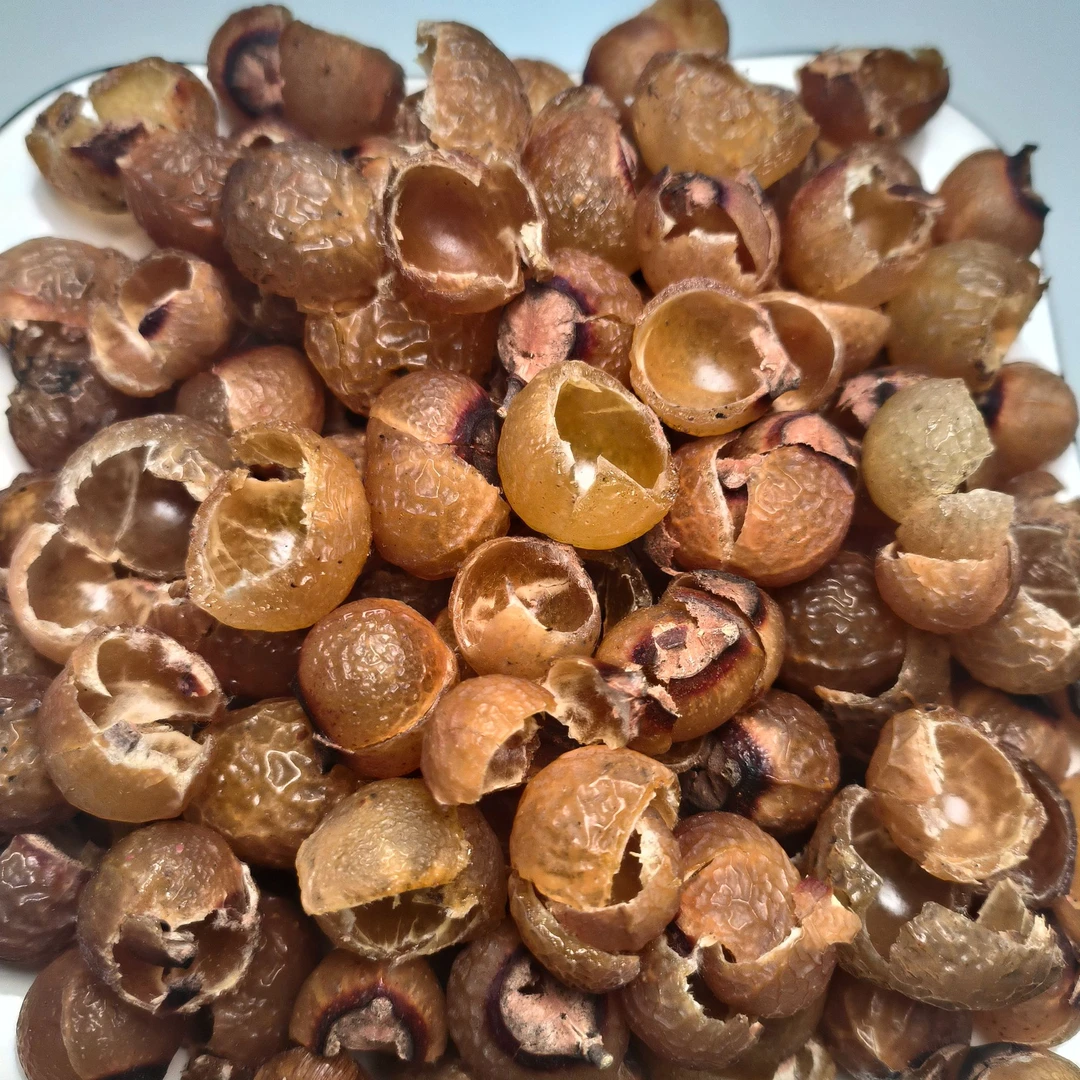 原生态无患子果皮