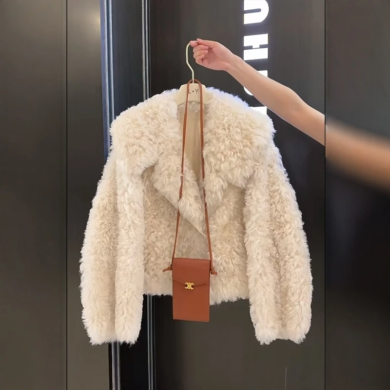 2024冬新款高级感翻领设计软糯舒适保暖短外套女时尚宽松长袖上衣