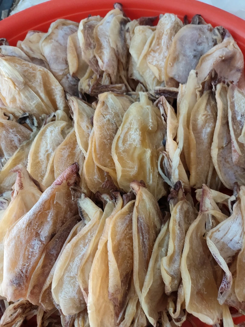 甲子港 清仓无头鱿鱼 （变色了）