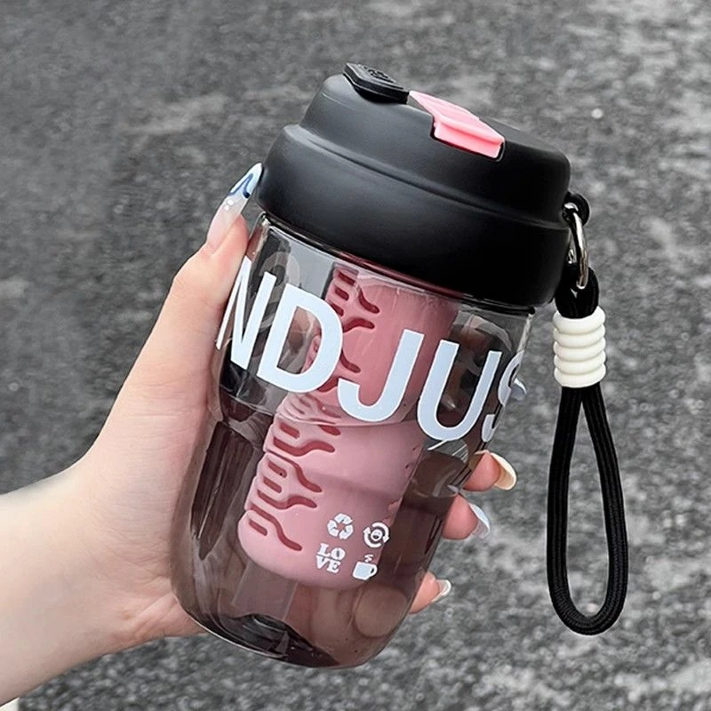 高颜值水杯女生泡茶杯双饮带吸管杯子学生可爱提手随行杯创意