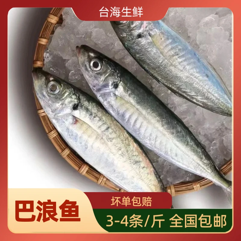 福建新鲜野生巴郎鱼家庭经济鱼发顺丰京东到手10斤W