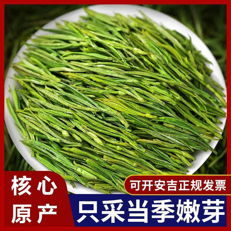 【新茶安吉早春白茶新茶A19】正宗原产地高山鲜香春茶精品浓香好茶