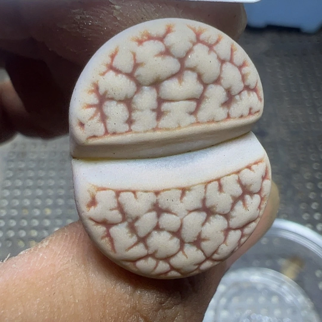 【闪购商品】 519。