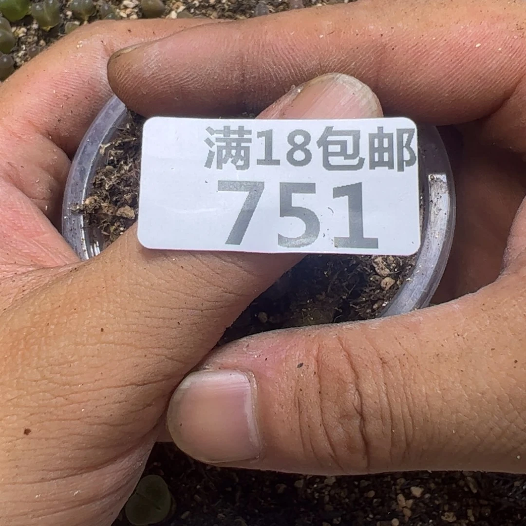 【闪购商品】云**都 751。