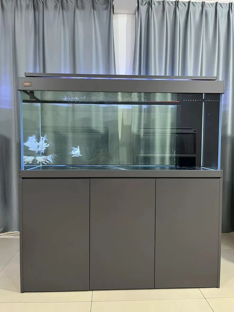 定金金池升级版客厅侧滤超白热带鱼缸中大型家用屏风生态水草缸