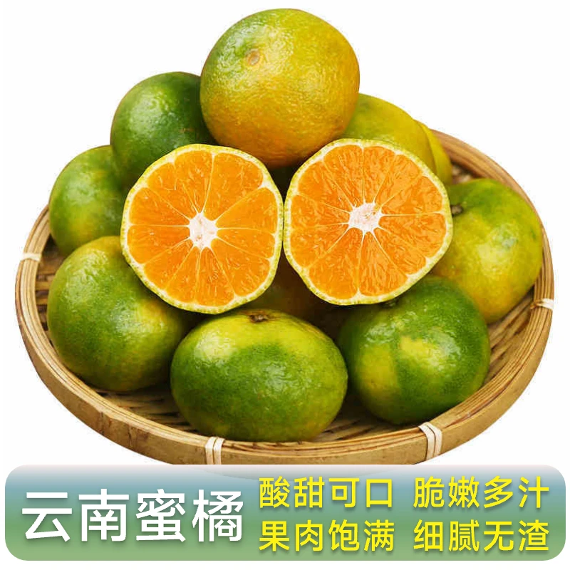 【果逍园】正宗云南青皮蜜橘 蜜桔子新鲜水果礼盒 中秋好礼酸甜可口