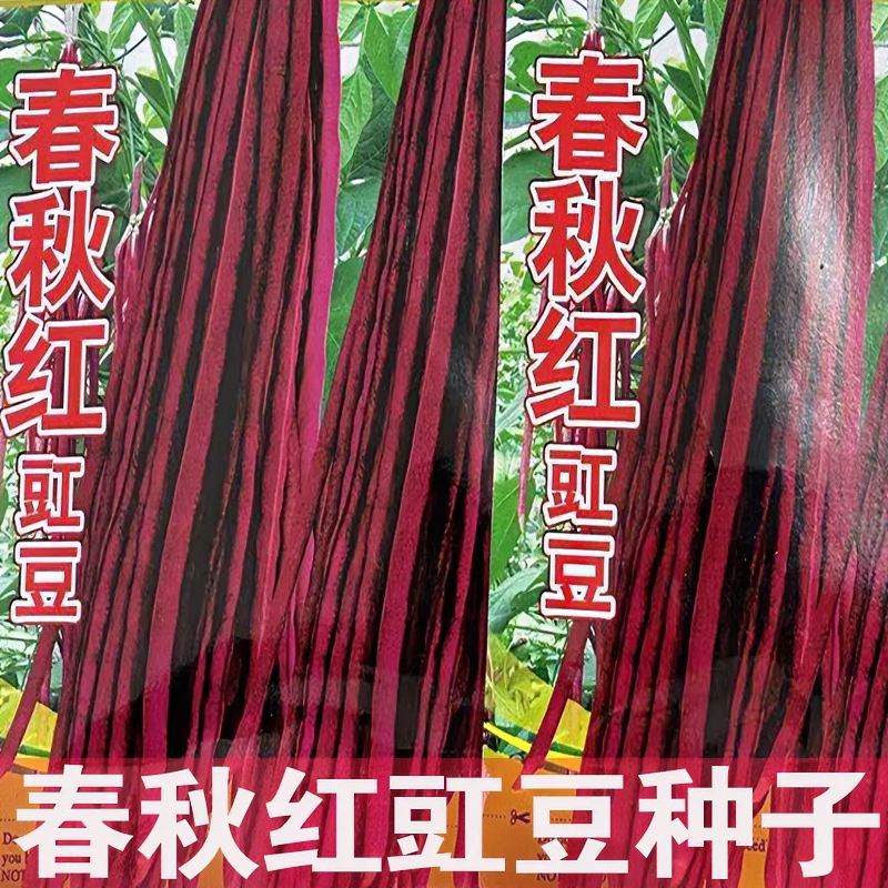 春秋红长秋播良种长豆角种子特长耐热红冬豆高产早熟四季蔬菜种子