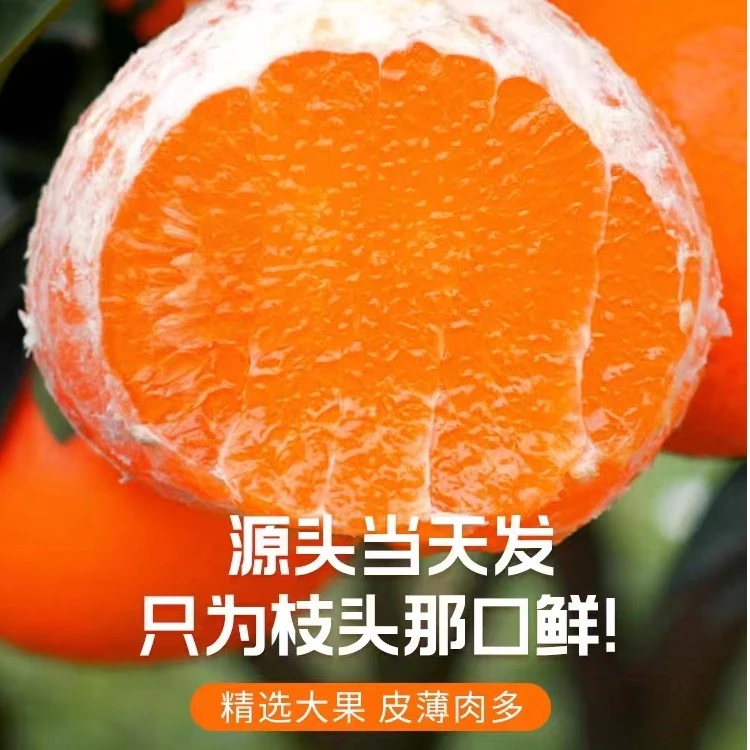 【双11专享】四川眉山爱媛38号果冻橙手剥橙耙耙柑产地直发2斤8斤装