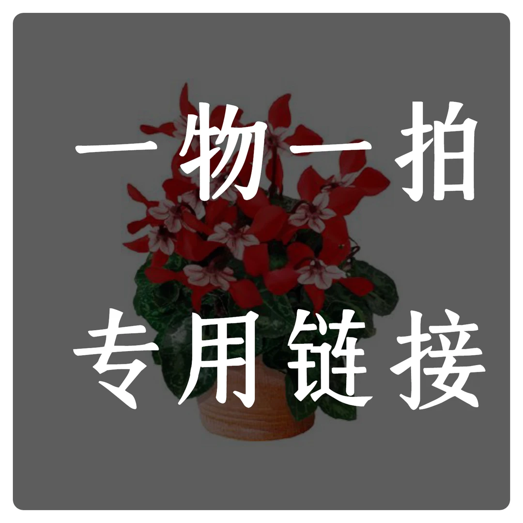 一物一拍专用链接 植绘空间 花卉绿植