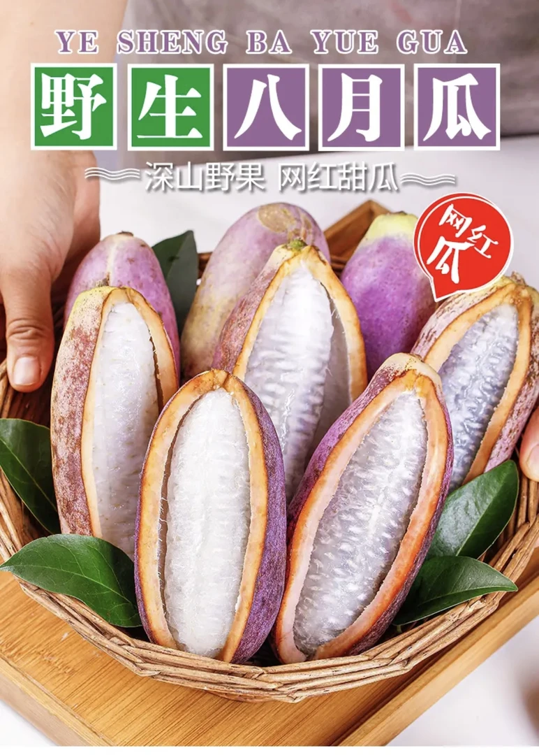 【顺丰包邮】贵州八月瓜新鲜水果现摘罕见水果甜瓜牛卵砣预知子应季