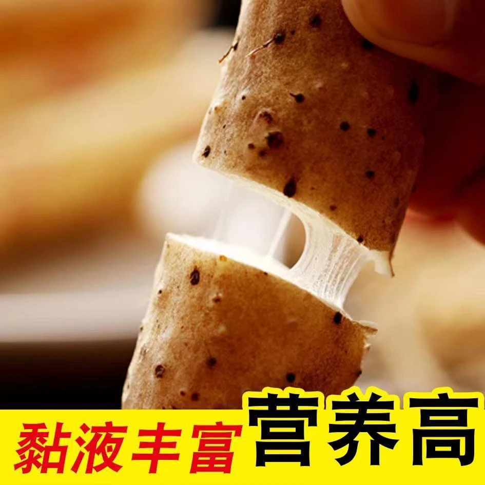 铁棍山药营养价值特价商品麻山药农产品