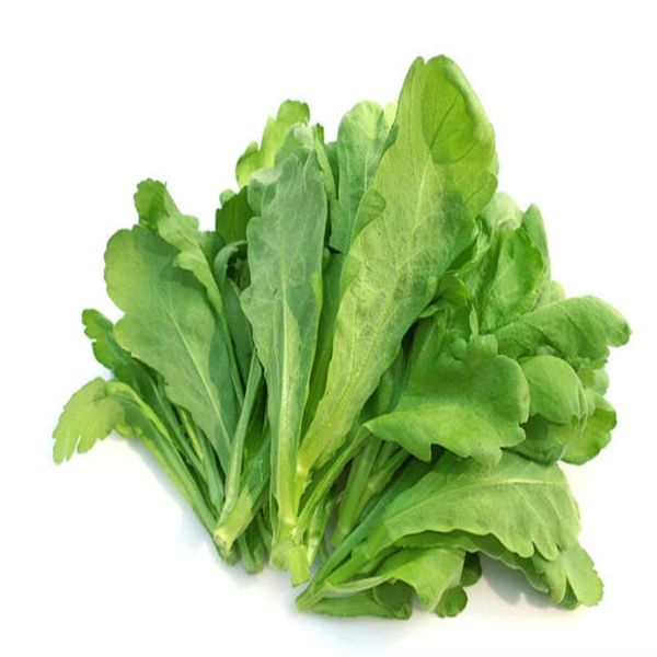 (涮火锅)大叶筒蒿菜 约250g