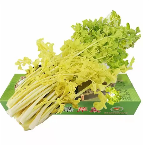 新鲜黄心芹菜 约150g