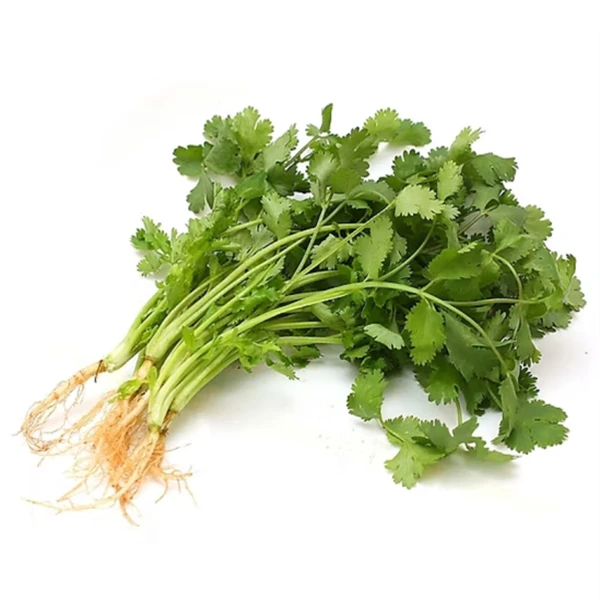 【免费商品一单只有2份介意勿拍】香菜    约50g（免费商品5选2）