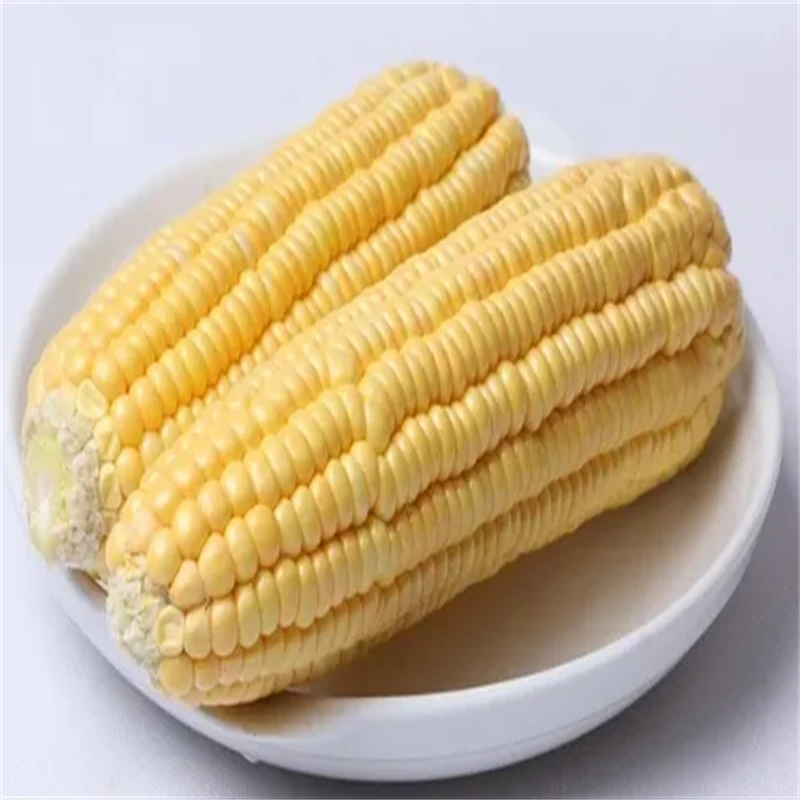 新鲜甜玉米 约600g(2个)