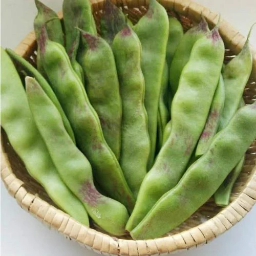 小旭专属东北长白山本地一点红油豆角