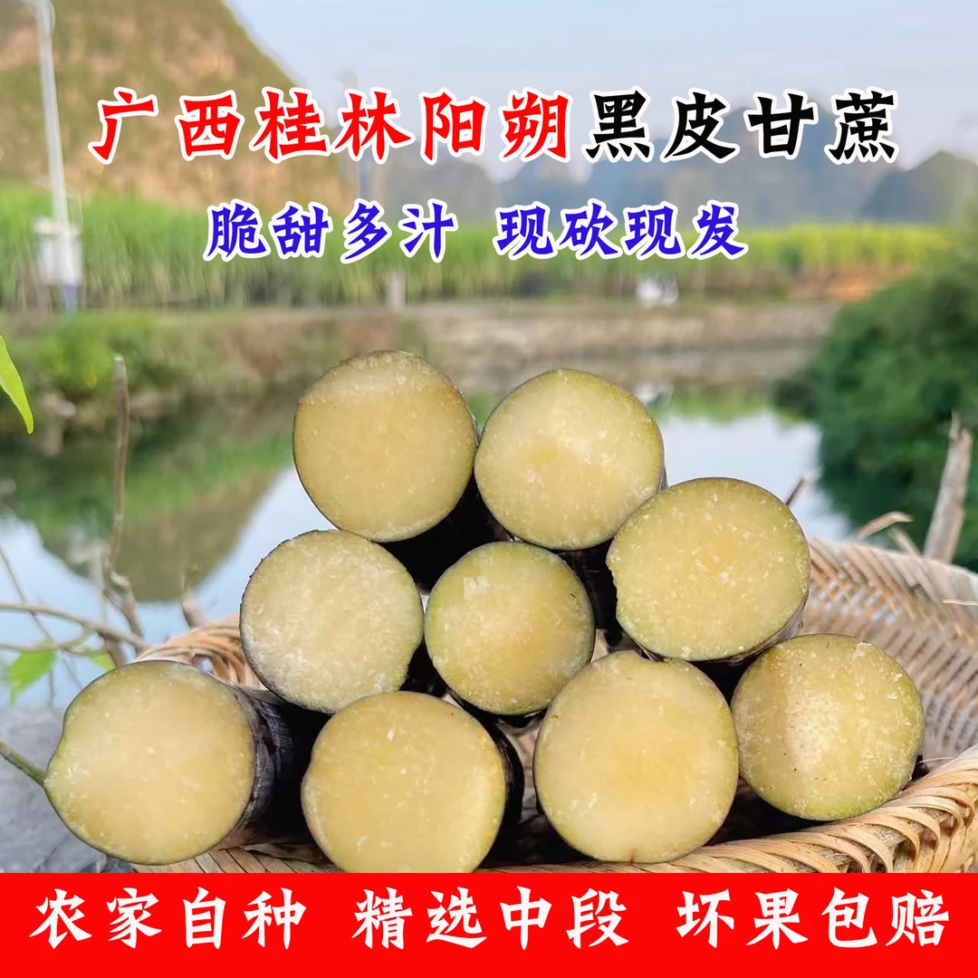 [现砍现发]广西桂林阳朔黑皮甘蔗爆甜多汁 皮薄肉厚 种植现砍现发