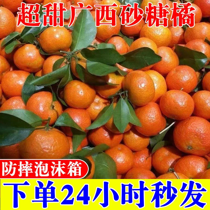【只发真货】正宗沙糖桔应季水果新鲜现摘砂糖桔薄皮2/10斤整箱