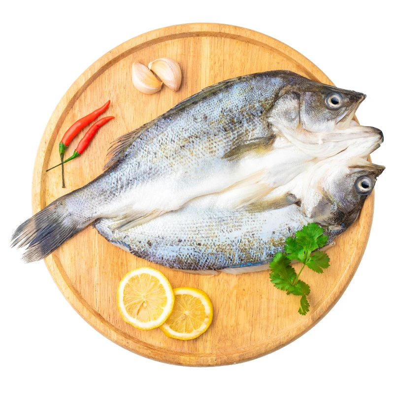 品珍鲜活海鲈鱼400g*3白蕉海鲈鱼海产蒜瓣肉质鲜美冷冻广东珠海
