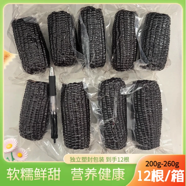 【12根一箱】【试吃2根】东北黑土地黑糯玉米220-260g/一整箱10根营养