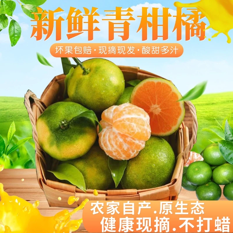 正宗无籽蜜桔薄皮柑橘青皮酸甜橘子孕妇当季水果现摘现发无打蜡