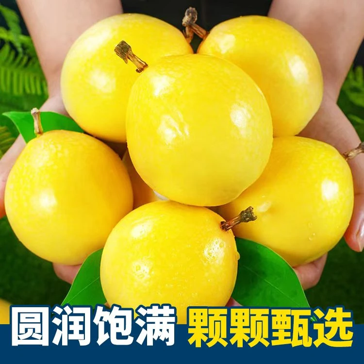 【顺丰包邮】广西版纳天然黄金果黄晶果精品大果蛋黄金 百香果香甜