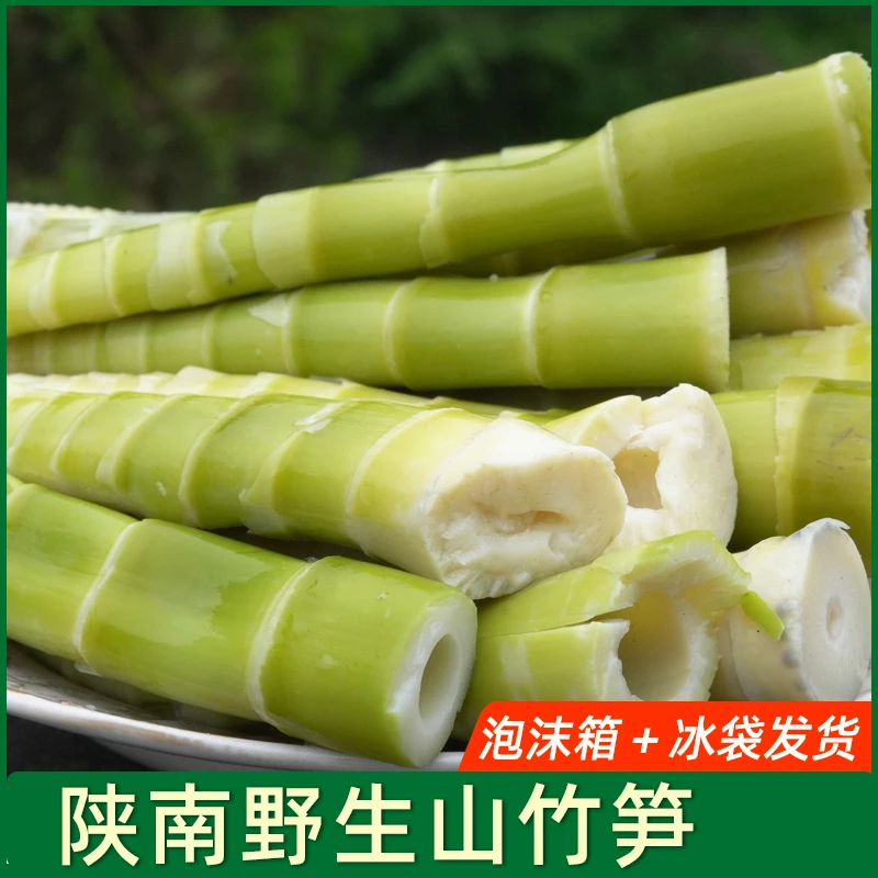 陕南高山野生脆嫩竹笋500g真空袋装