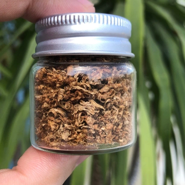 【中国香魁】新人福利芽庄白棋楠沉香老料勾丝1克装