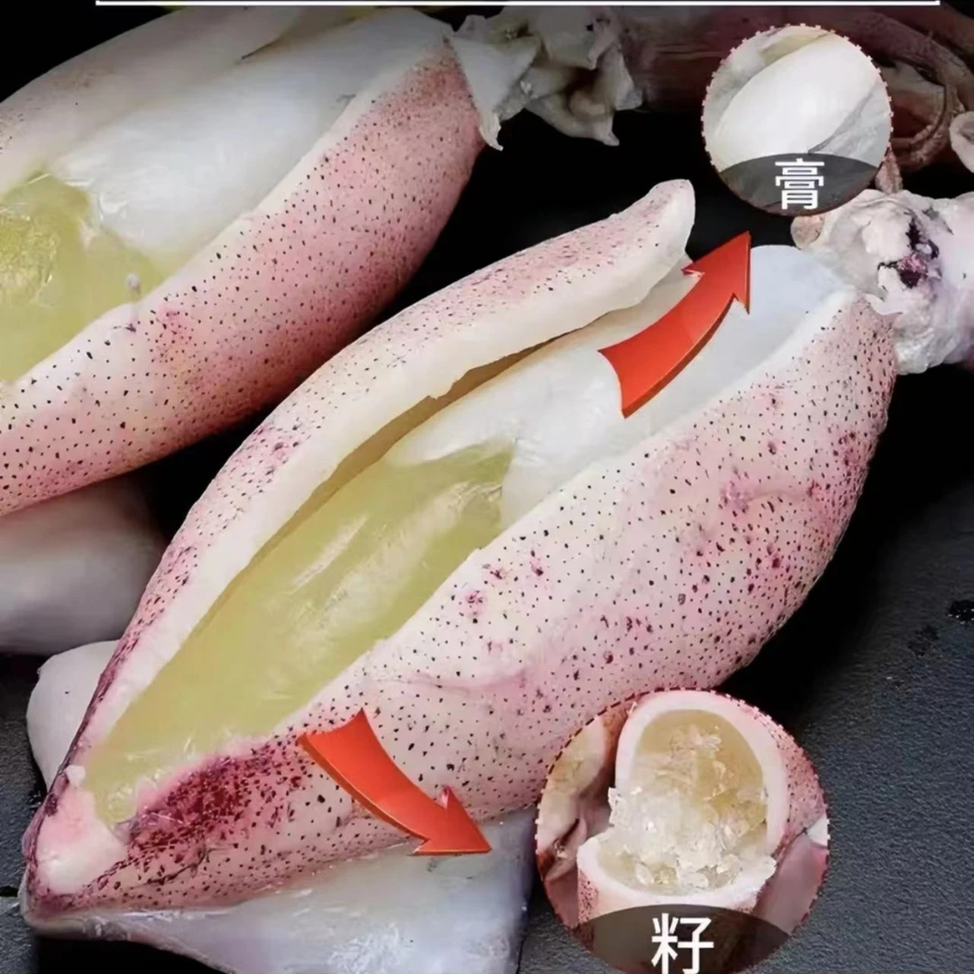 海兔子满籽鲜活笔管鱼带籽海兔海鲜鲜冻全籽籽乌1.5斤