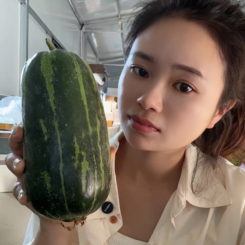 【顺丰包邮】东台农家水瓜花皮水瓜清爽口感凉拌生吃梢瓜菜瓜