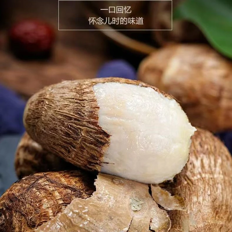 【顺丰包邮】农家本地牛奶芋头软糯香甜现挖现发毛芋头香芋头糯芋艿