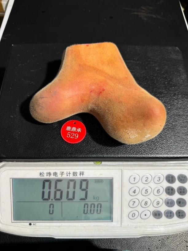 新鲜鹿茸 整只鲜鹿茸可煲汤 炖菜 泡酒以直播间为准 一物一改价