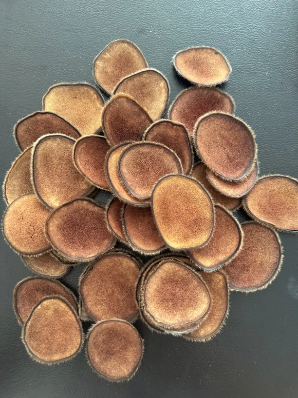 吉林鹿乡 鹿茸片 20克 50克 顺丰包邮（黄）