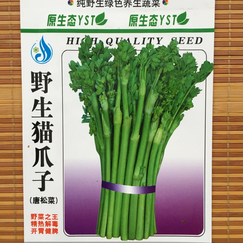 野生猫爪子种子庭院种植发芽率高营养丰富东北野菜唐松菜蔬菜种子