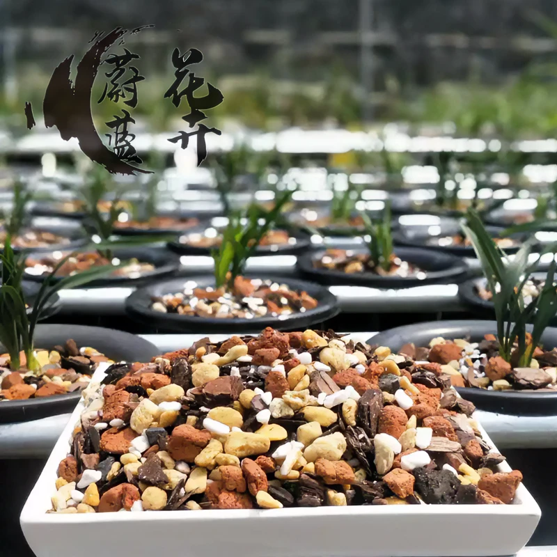 发酵腐熟松树皮蝴蝶兰花专用土植料铁皮石斛颗粒土种植营养土包邮
