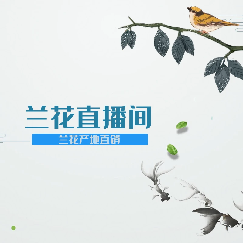 蔚蓝花卉兰花直播一物一拍(直播间选好在拍)