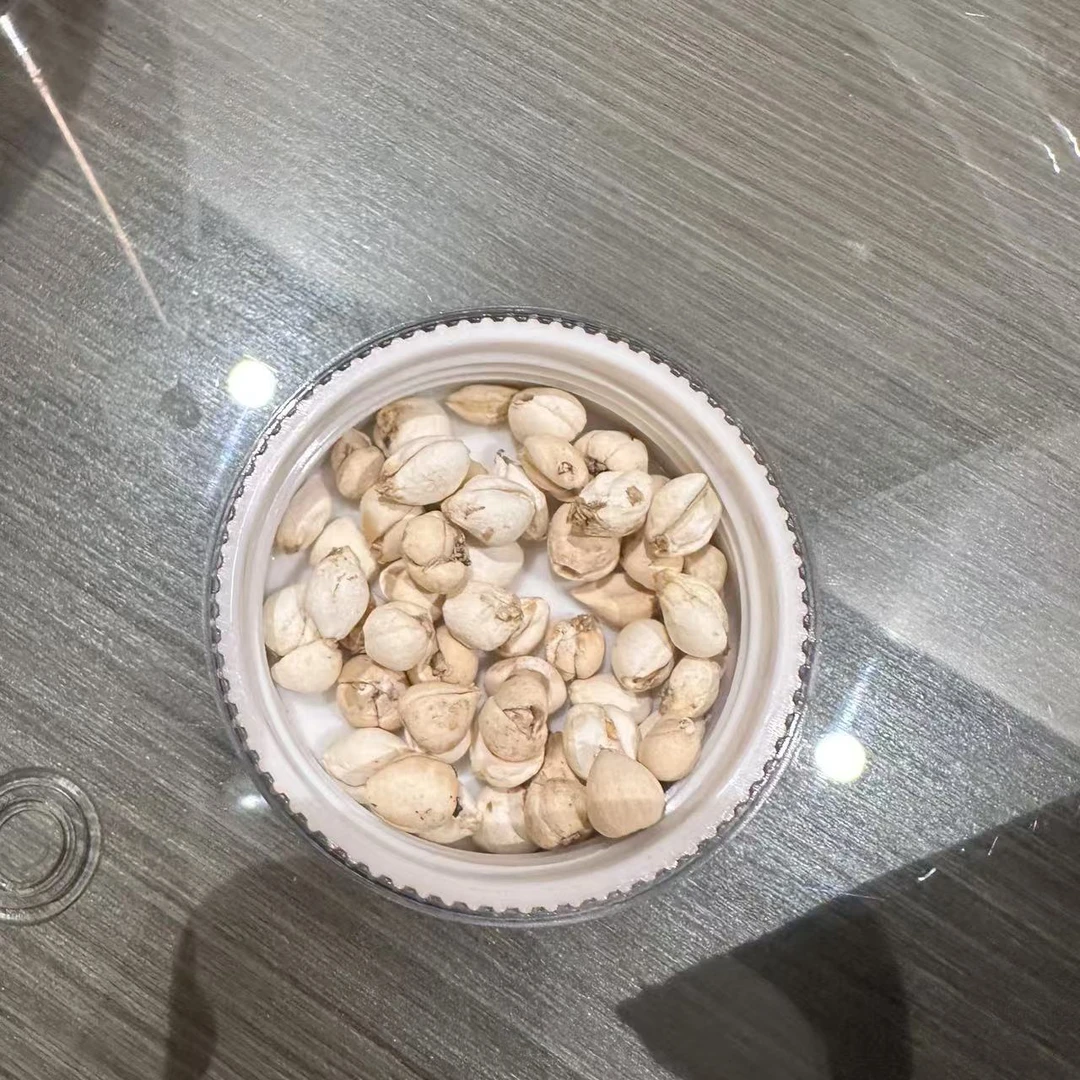 艾灸慈悲品质贝母