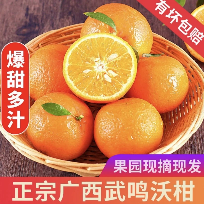 正宗广西武鸣沃柑当季水果超甜爆汁皮薄香甜 5斤 8斤产地直发