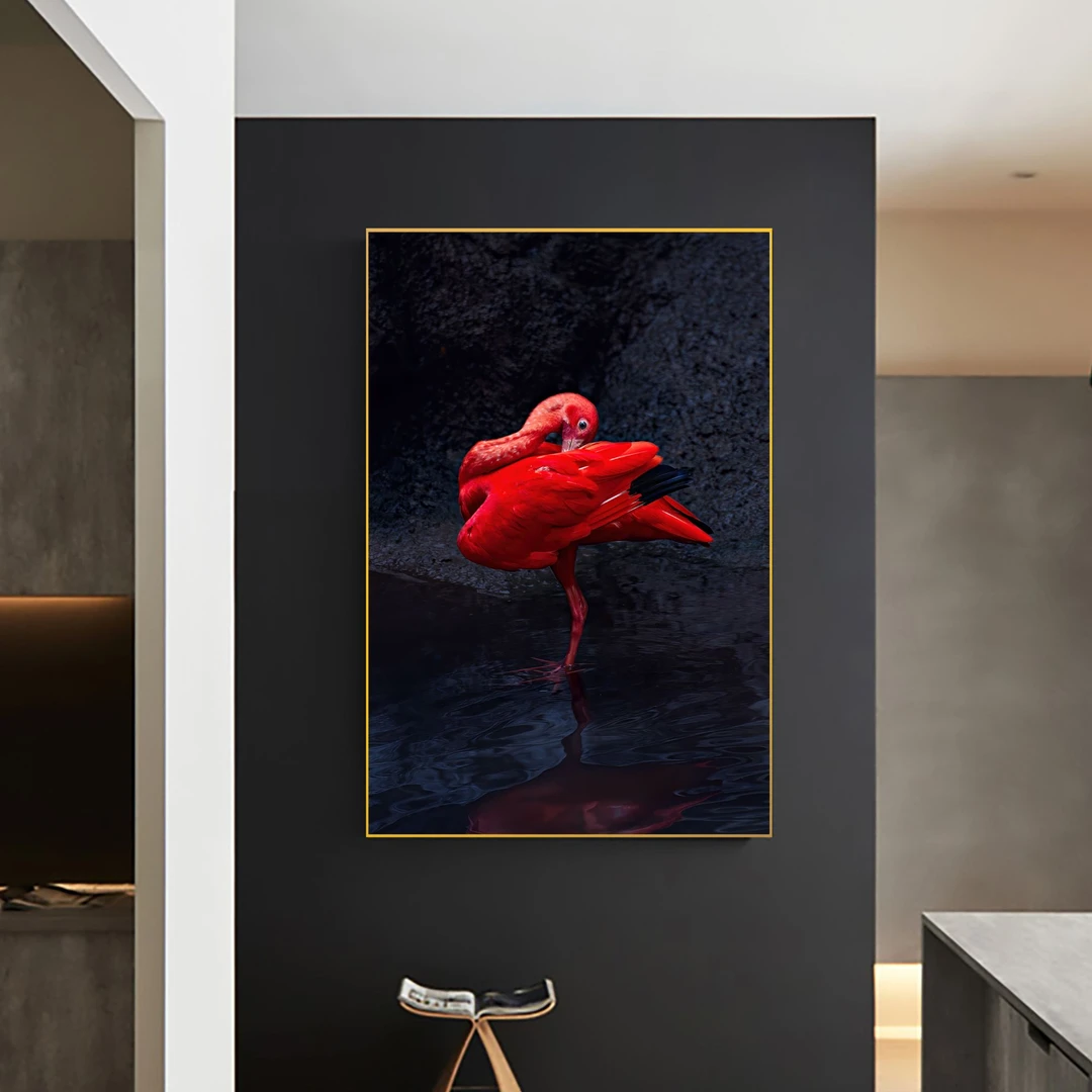 （鸟王艾雅康专属推荐）艺术装饰画（美洲红鹮）