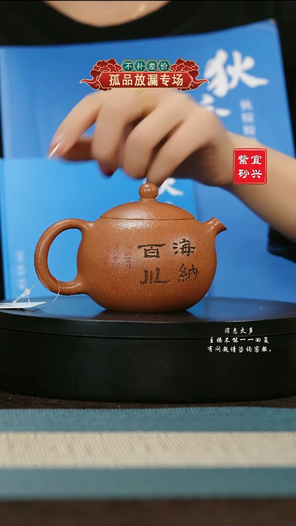 【闪购商品】紫砂茶壶146 河豚西施手工紫砂壶DJJ