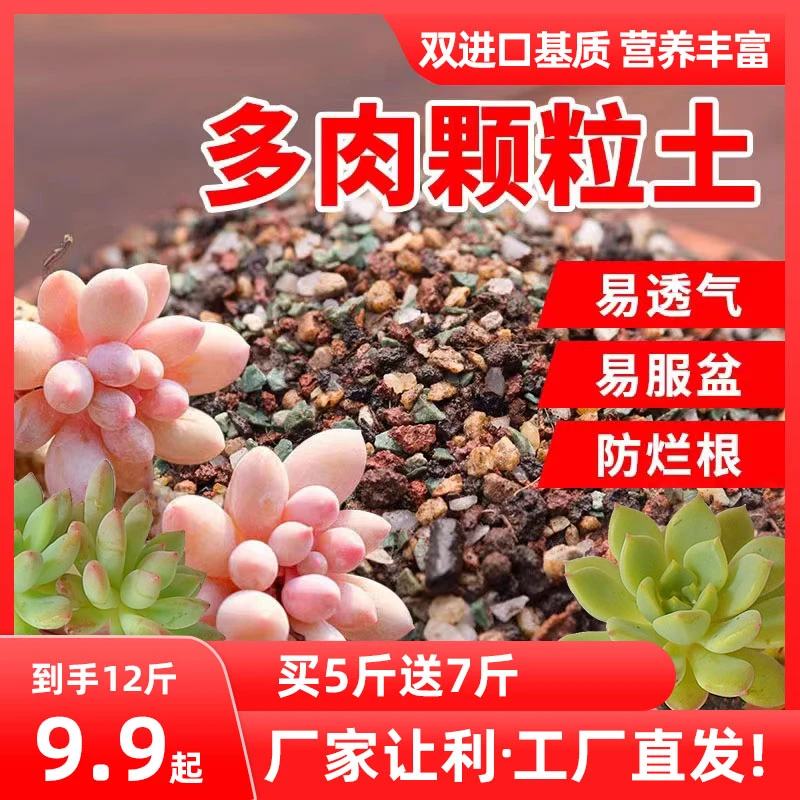 【买5斤送7斤】多肉专用颗粒营养土多效加强铺面控型上色