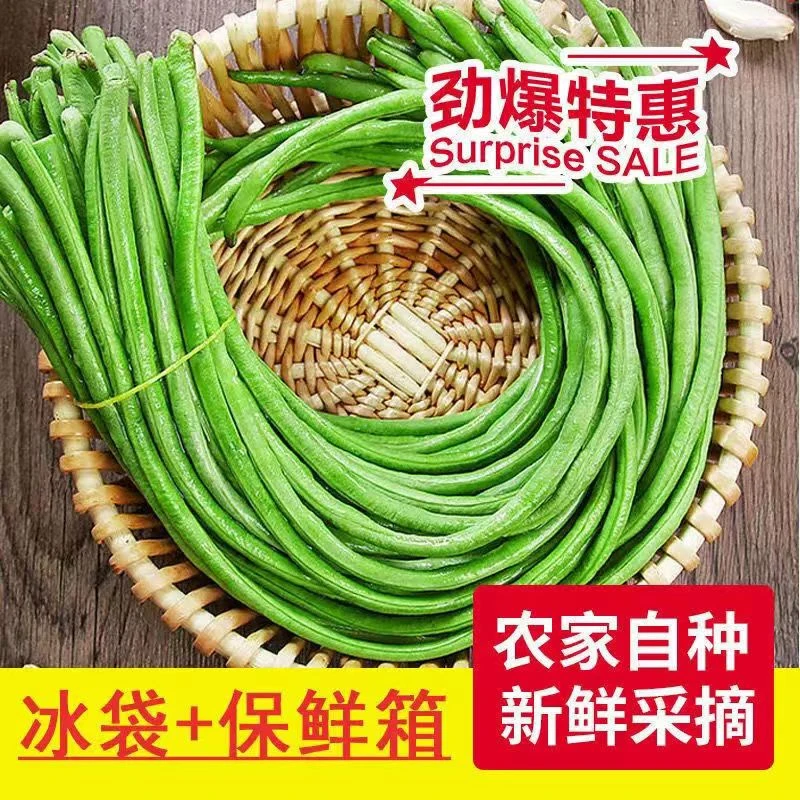 【农家自种】新鲜长豆角当季蔬菜脆嫩挂长豆角现摘新鲜缸豆10斤批