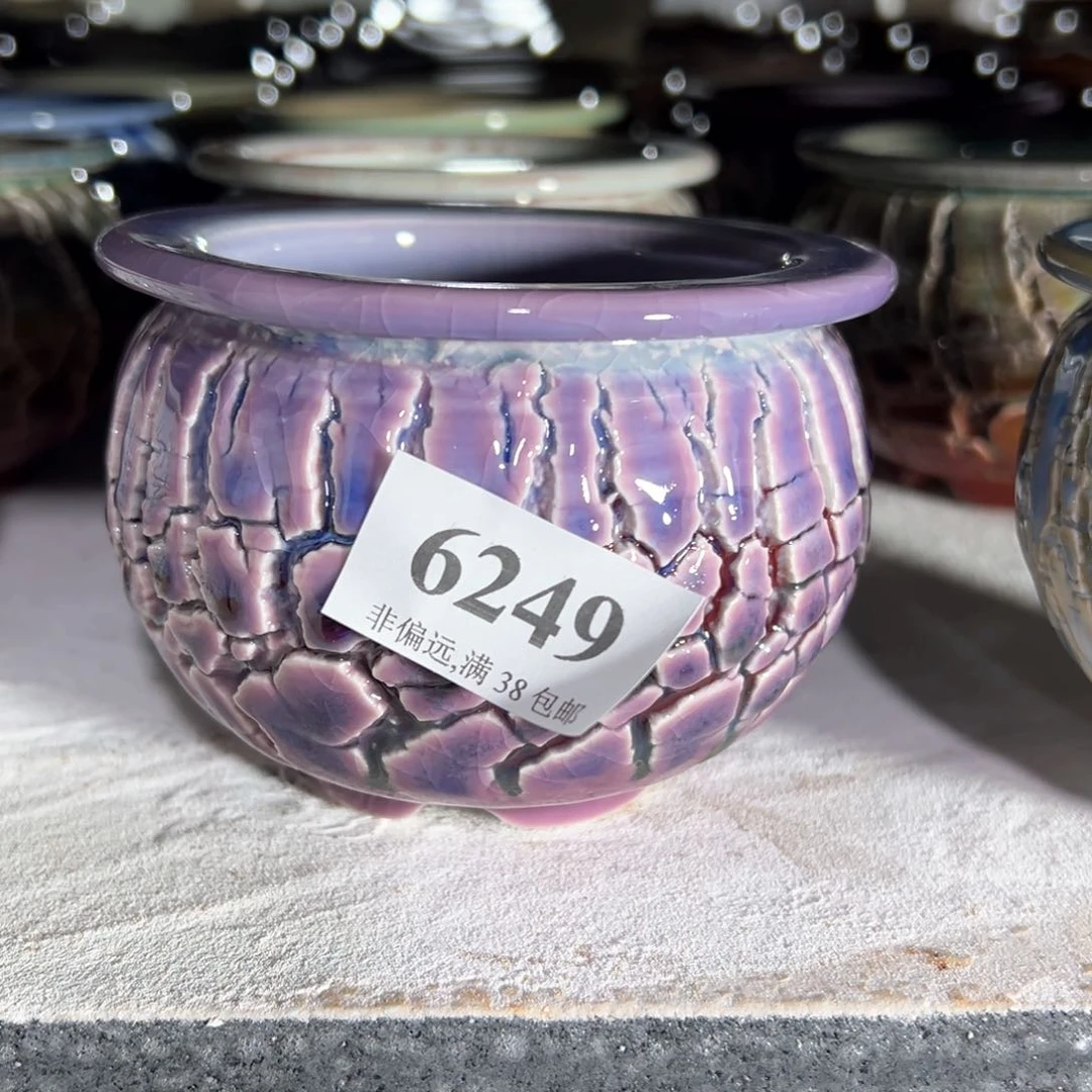 红陶20CM（含）-50CM（不含）