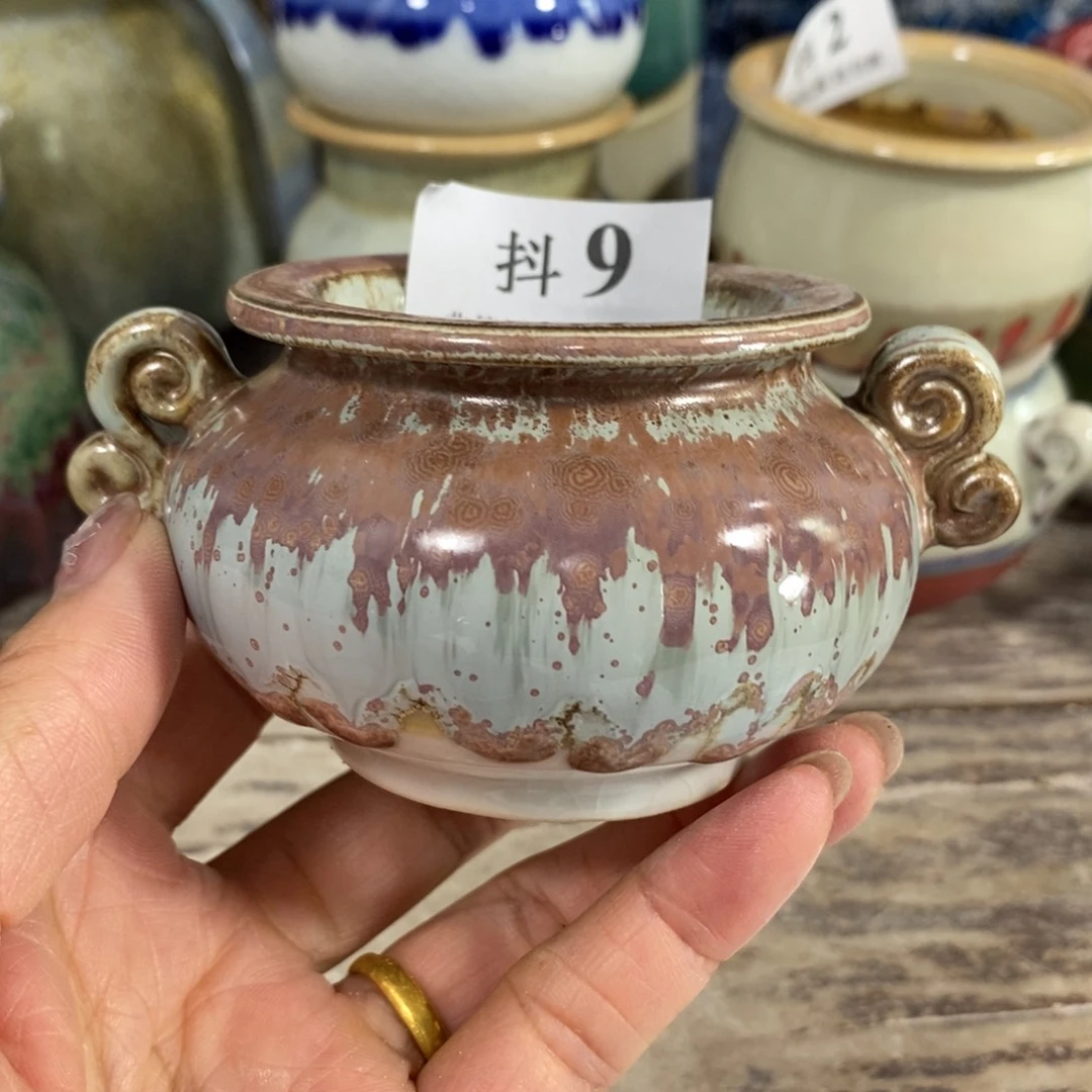 红陶20CM（含）-50CM（不含）
