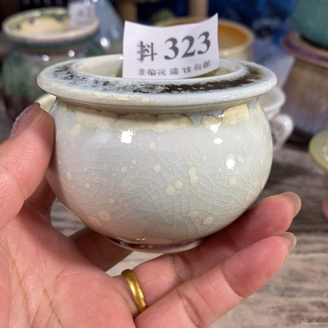 红陶20CM（含）-50CM（不含）福利