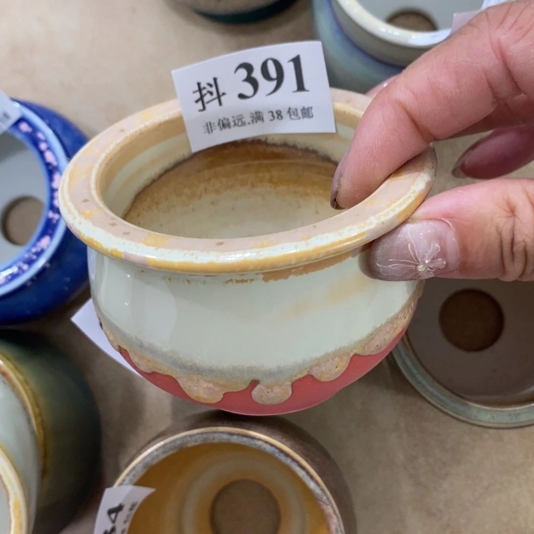 红陶20CM（含）-50CM（不含）