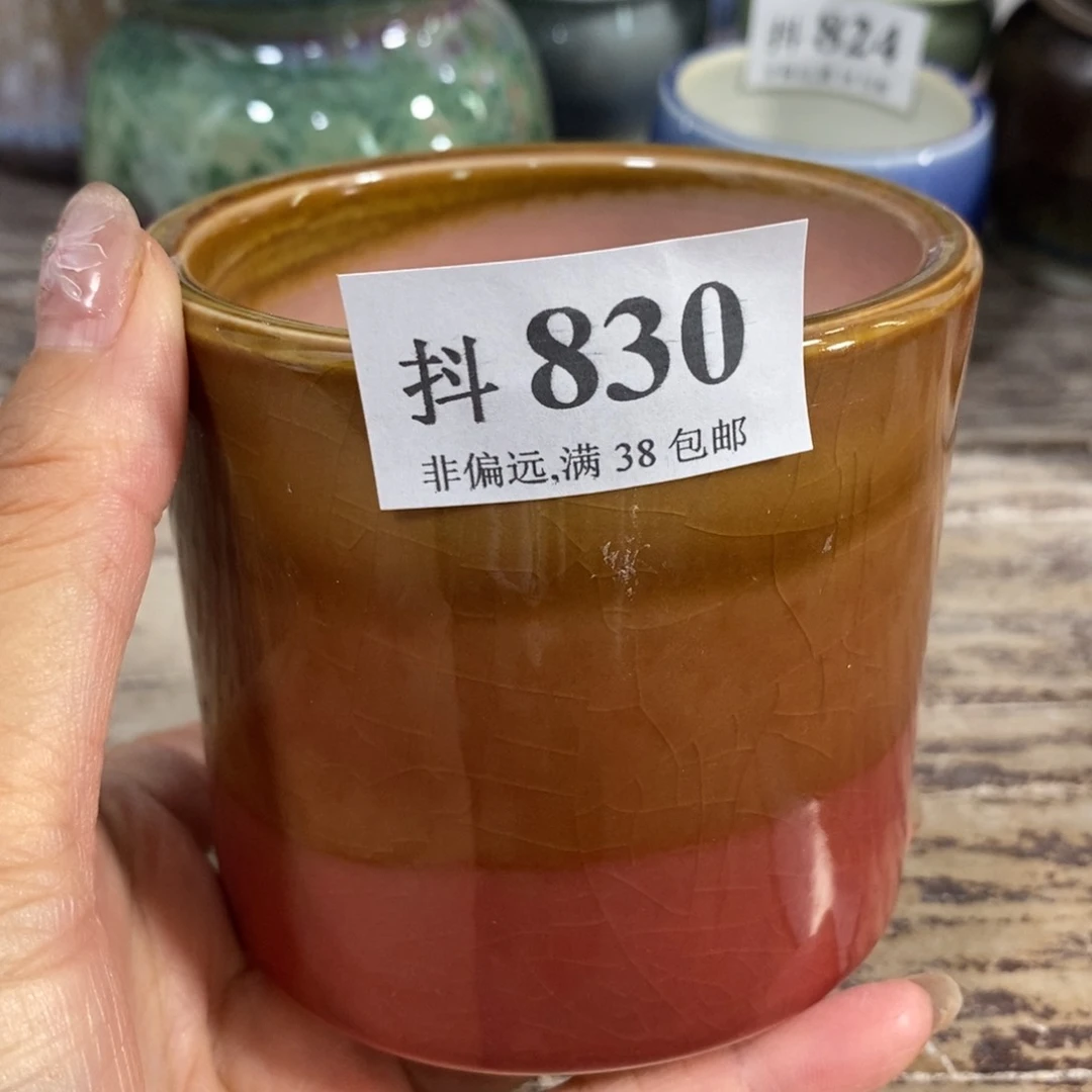 红陶20CM（含）-50CM（不含）福利