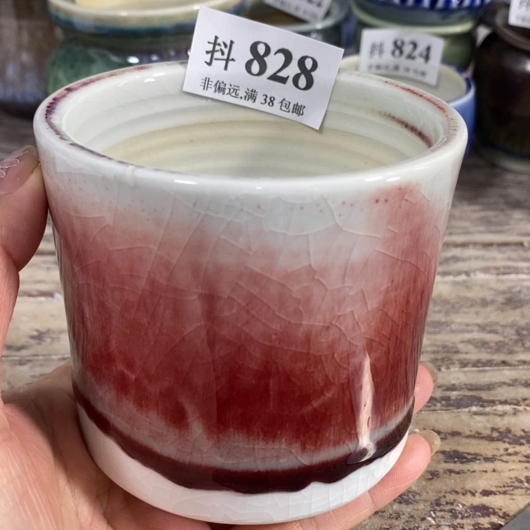 红陶20CM（含）-50CM（不含）福利