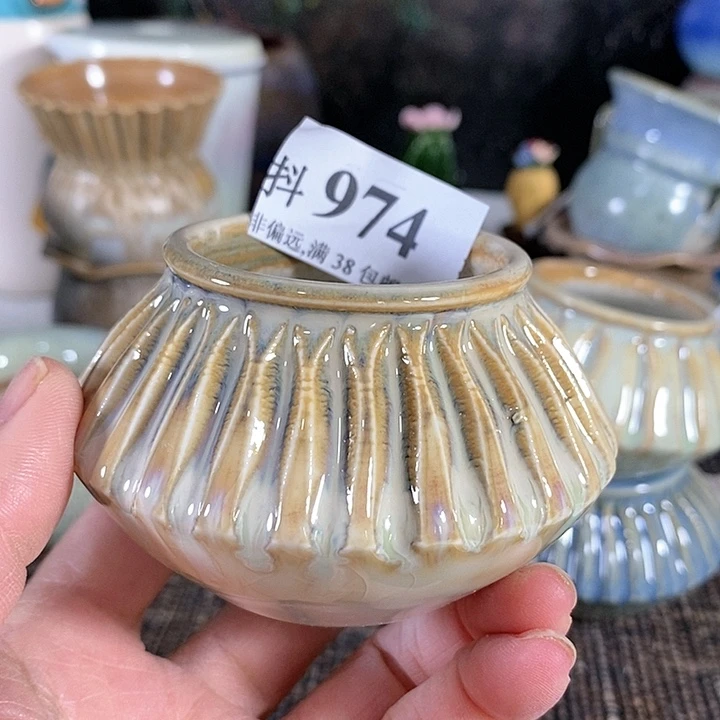 红陶20CM（含）-50CM（不含）